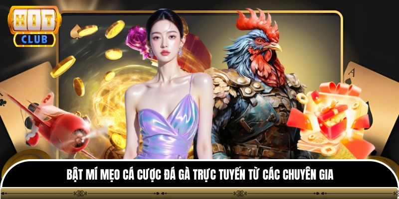 Bật mí mẹo cá cược đá gà trực tuyến từ các chuyên gia