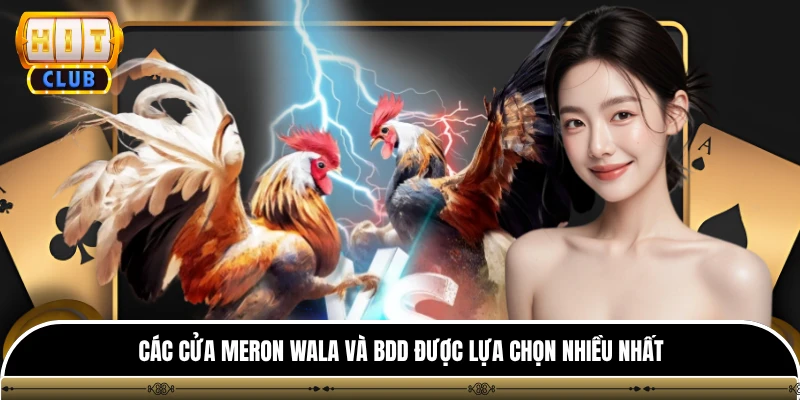 Đá Gà Philippines - Trải Nghiệm Màn So Tài Kịch Tính 24/7 4 Các cửa Meron Wala và BDD được lựa chọn nhiều nhất