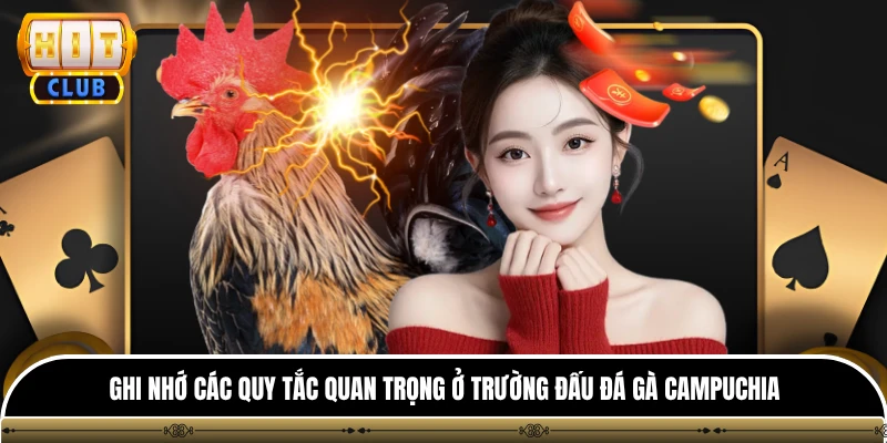 Đá Gà Campuchia - Nơi Trực Tiếp Các Trận So Tài Kịch Tính 3 Ghi nhớ các quy tắc quan trọng ở trường đấu đá gà campuchia