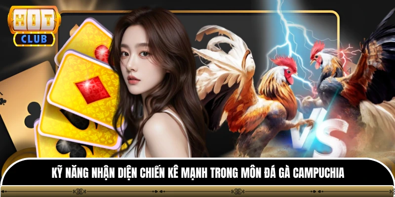 Đá Gà Campuchia - Nơi Trực Tiếp Các Trận So Tài Kịch Tính 4 Kỹ năng nhận diện chiến kê mạnh trong môn đá gà campuchia