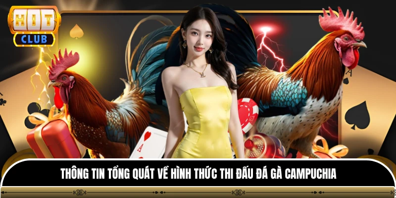 Đá Gà Campuchia - Nơi Trực Tiếp Các Trận So Tài Kịch Tính 2 Thông tin tổng quát về hình thức thi đấu đá gà campuchia