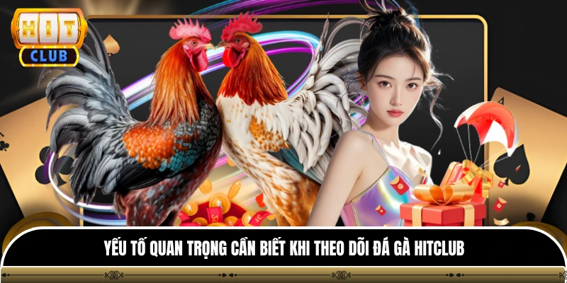 Yếu tố quan trọng cần biết khi theo dõi đá gà HITCLUB